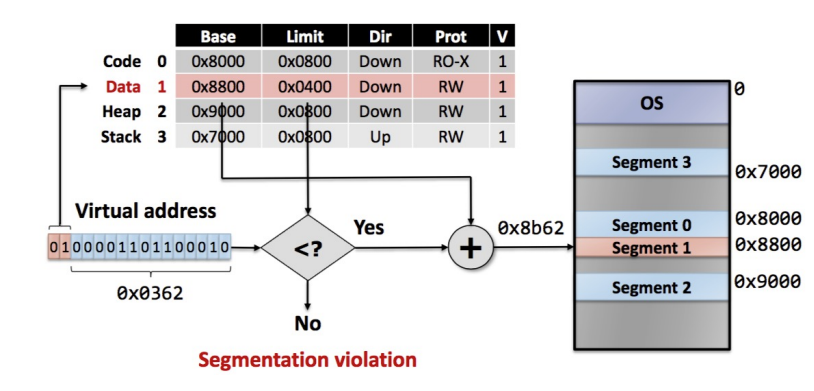 segmentation